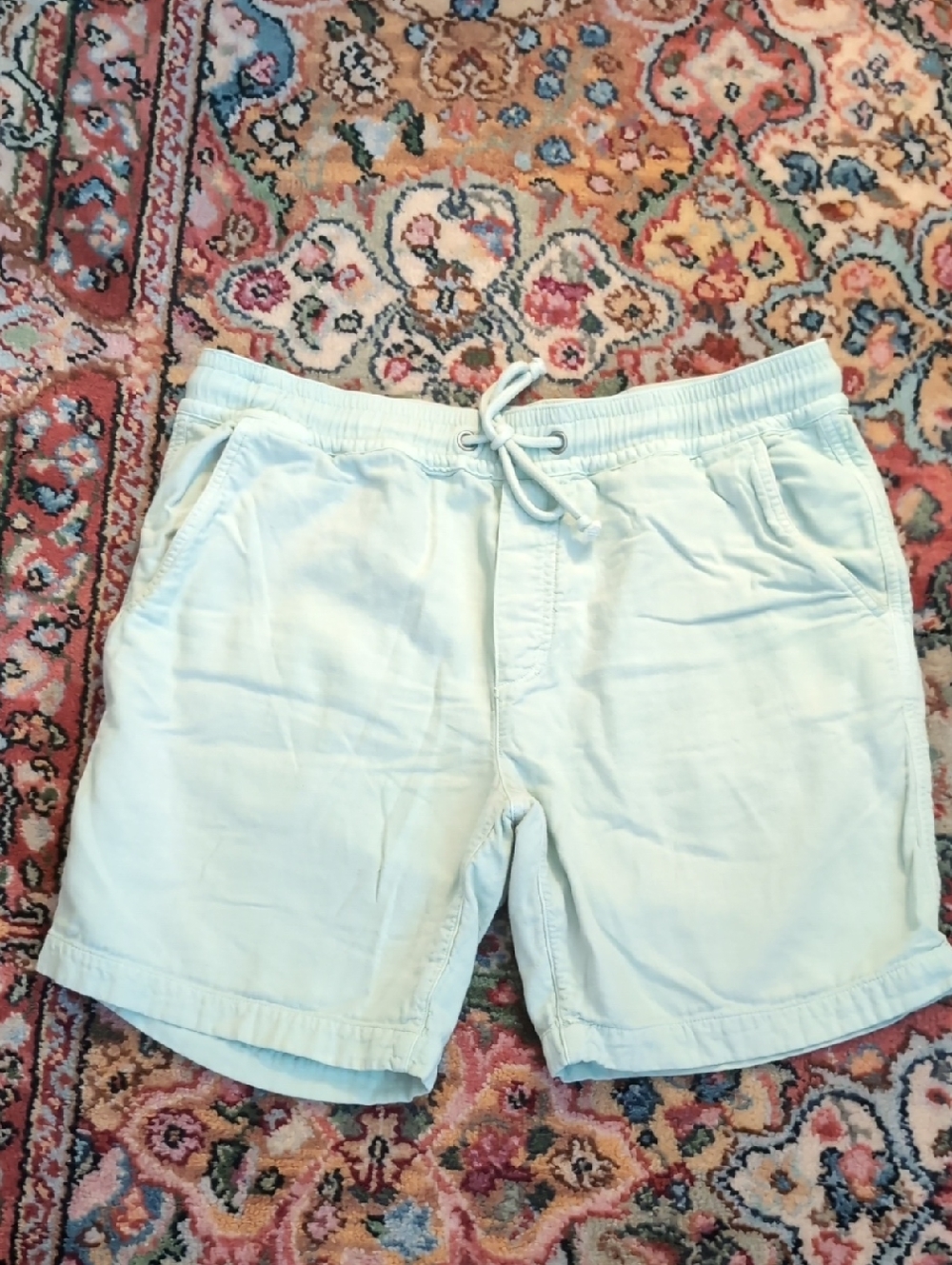 Marine Layer Mint Saturday Beach Shorts